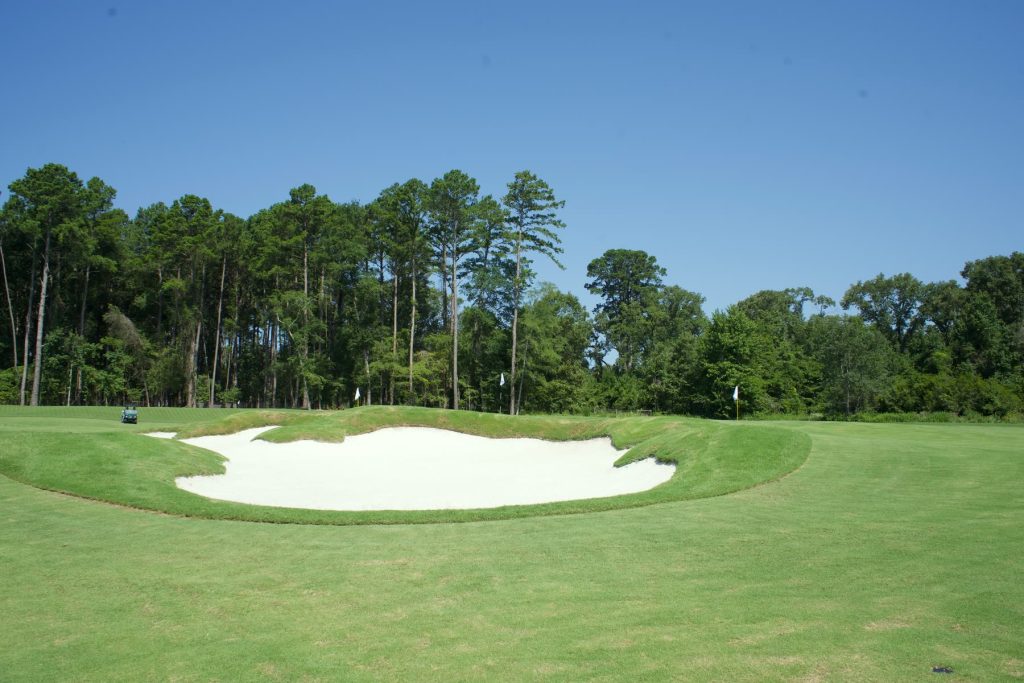 Practice green and bunker surrounded by pines